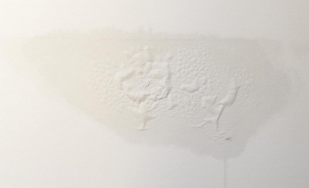Ceiling water stain example for Zcript AI Inspect